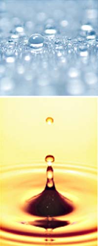 丝蓓绮奢耀柔艳洗发露750ml+护发素750ml+可悠然恬静清香沐浴露550ml资生堂授权正品)【价格 参数 导购 评价】 - 商旗网(SH7.COM)