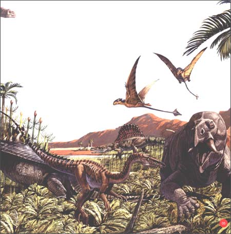 翼龙专家:史前天空统治者深度解密(上)\/赵闯