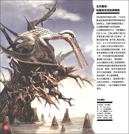 翼龙专家:史前天空统治者深度解密(上)\/赵闯