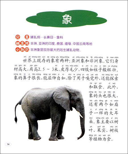 我的成长小百科:动物小百科\/徐秋杰-图书-亚马逊