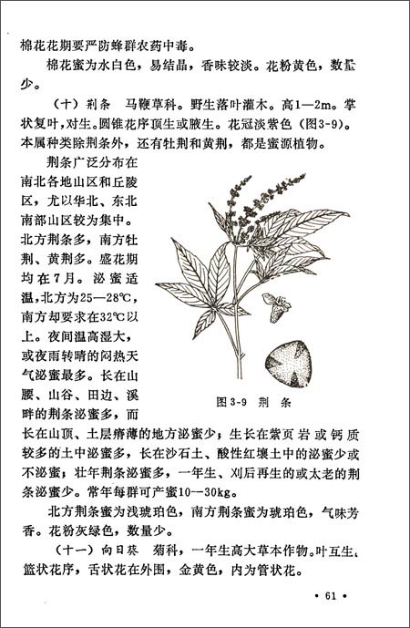 《全国中等农业学校教材:养蜂学(畜牧专业用)》