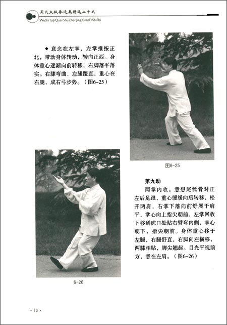 吴氏太极拳述真精选二十式\/鲁胜利-简介 书评