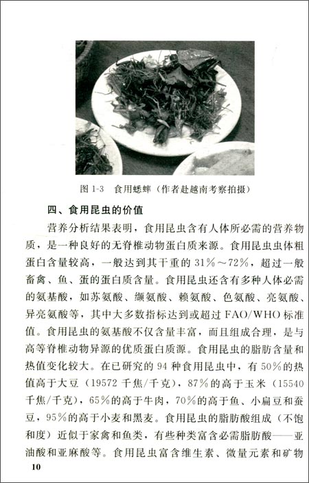 蚱蝉、豆虫高效养殖技术\/刘玉升