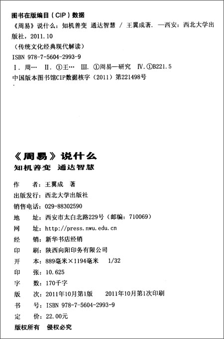 传统文化经典现代解读:周易说什么\/王翼成