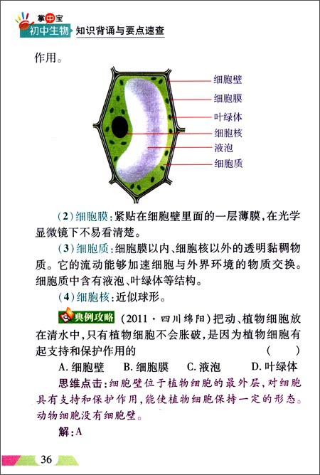初中生物知识背诵与要点速查全彩版 \/卢银中-图