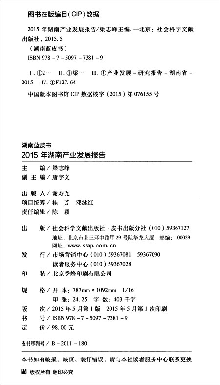 2015年湖南产业发展报告\/梁志峰_图书杂志-经