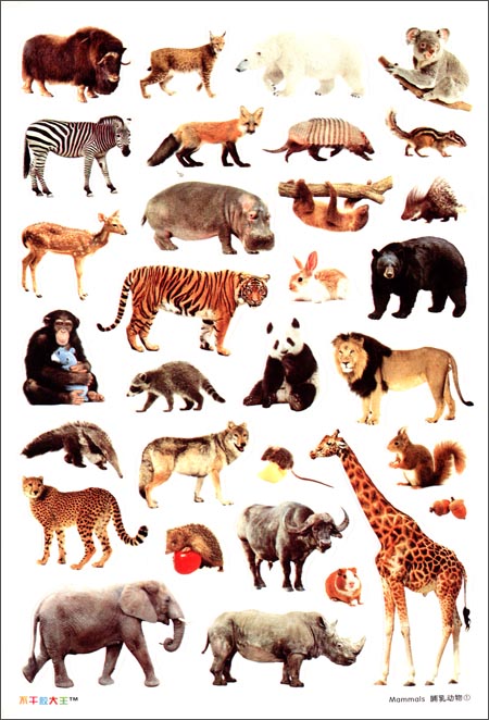 不干胶大王:动物家园\/禾稼-图书-亚马逊中国