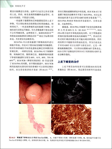 国外经典医学名著译丛:内镜超声学(第2版)-图书