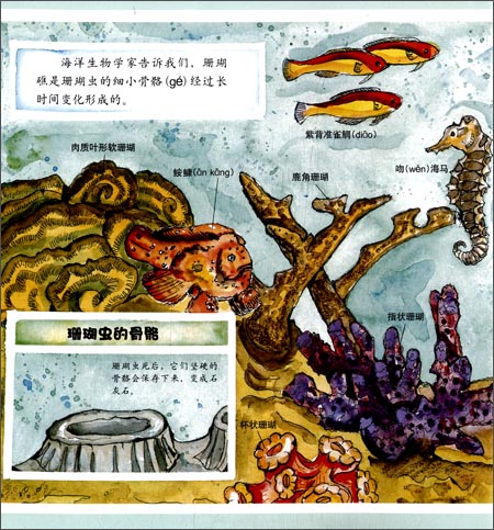 盖尔·吉本斯少儿百科系列:珊瑚礁\/译林出版社