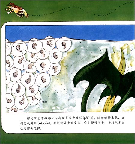盖尔·吉本斯少儿百科系列:青蛙\/译林出版社\/盖