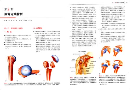 解放军总医院创伤骨科手术学:创(战)伤救治理论