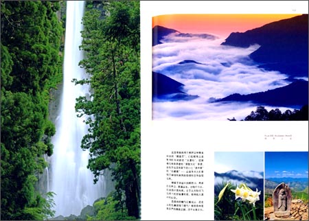 《世界最美森林之旅》 日本株式会社X-Knowle