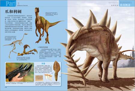 探秘天下:恐龙王国大发现+动物王国大发现(最权威的世界儿童百科圣经)\/迈尔克·布雷特-斯尔曼-图书-亚马逊 [恐龙王国大百科]
