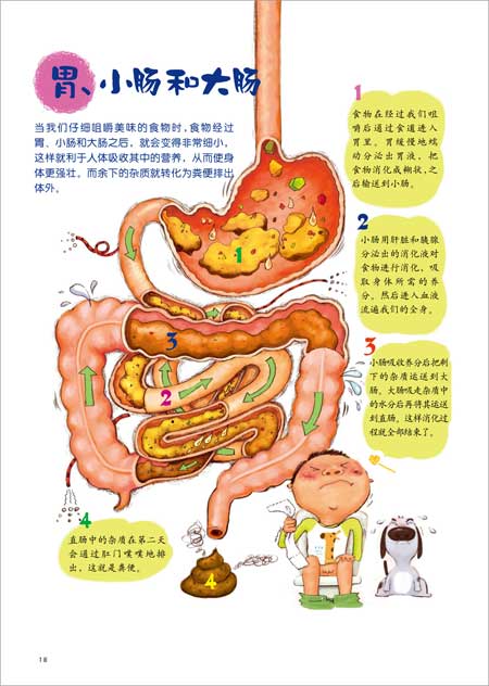 东方沃野我可爱的身体\/向日葵企划-图书-卓越亚马逊 [我的身体]