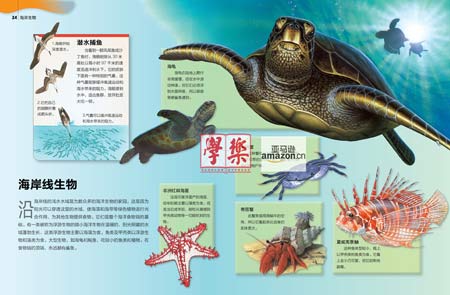 解梦鳄鱼，探索梦境中的神秘生物与深层心理