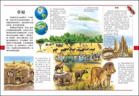 大英青少年百科全书:自然(学生专用图解版)-图