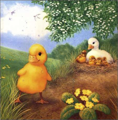 妙妙双面动画书:雨天里的小鸭子\/荣信文化-图书-亚马逊