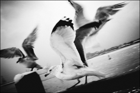 韩寒最新主编作品:去你家玩好吗\/韩寒