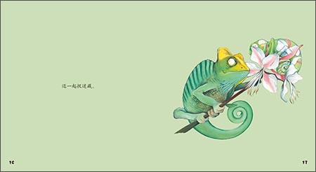 小小聪明豆绘本第5辑:我爸爸最酷\/外语教学与