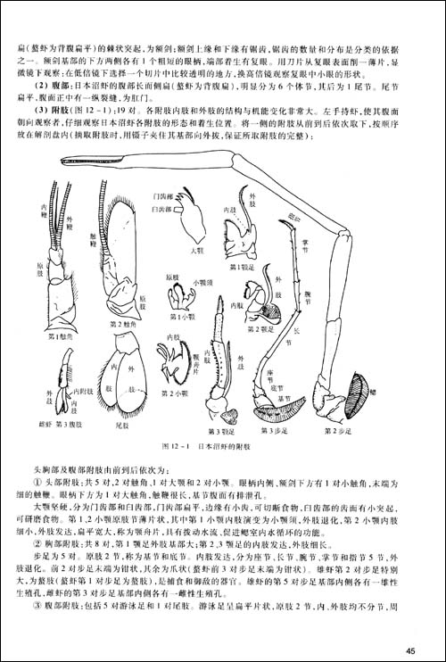 普通动物学实验指导(第3版)\/刘凌云\/\/郑光美