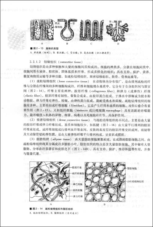 普通动物学(第4版)\/刘凌云\/\/郑光美