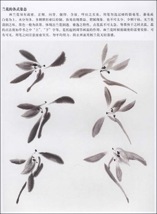兰花的画法\/刘彦明\/湖南美术出版社