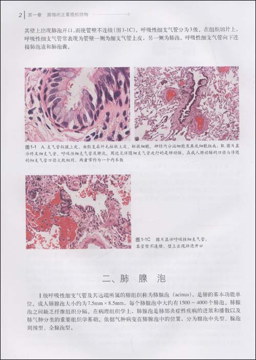 肺非肿瘤性疾病诊断病理学\/刘鸿瑞