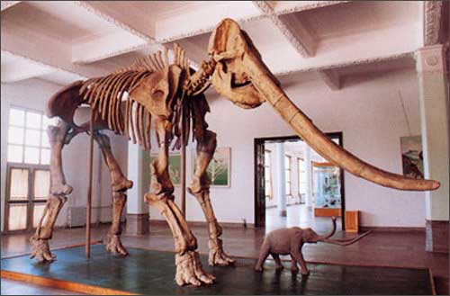 多彩甘肃\/甘肃省人民政府新闻办公室