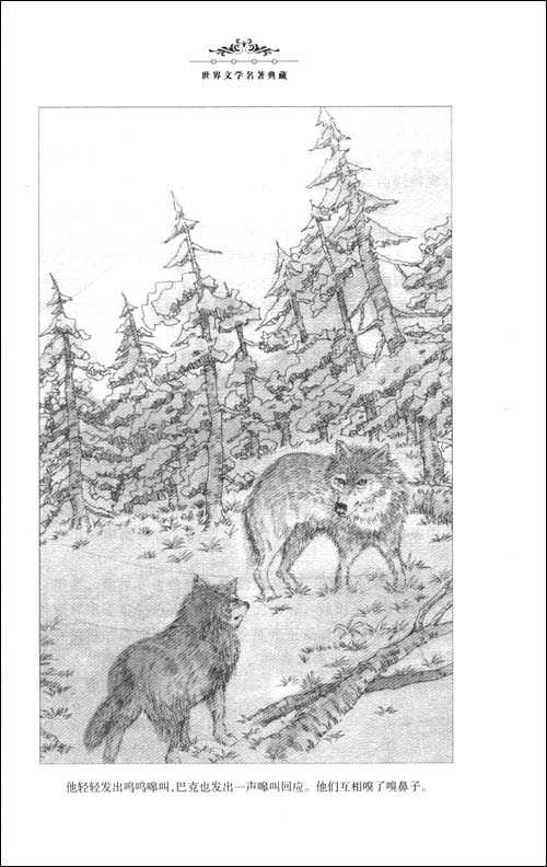 野性的呼唤白牙\/杰克·伦敦