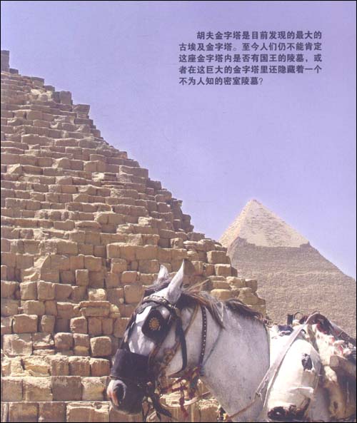 狮身人面像鼻子被谁破坏 B005B6AA9O_03_amzn.jpg