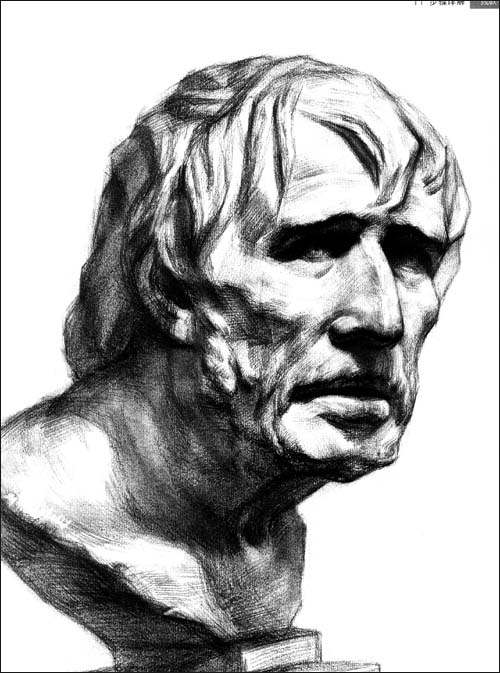 素描石膏像 素描石膏像结构 马赛素描石膏像图片 中央美院素描石膏像 高考素描石膏像