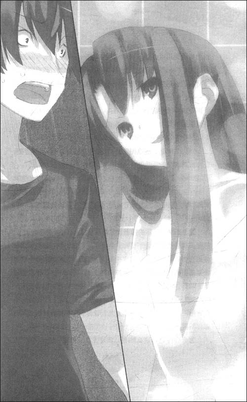 龙与虎4\/竹宫悠由子-图书-亚马逊 [仰望半月的夜