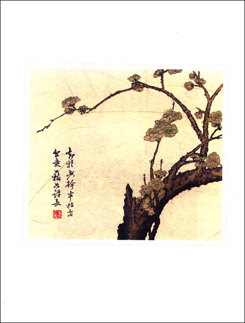 林徽因诗传:一身诗意千寻瀑万古人间四月天\/倾