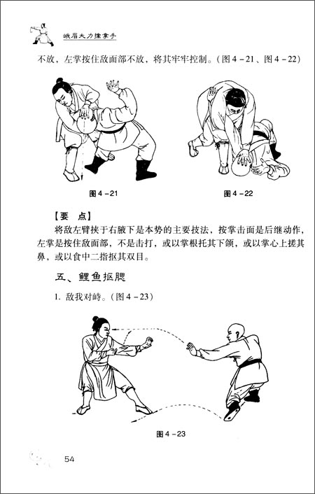 峨眉大力擒拿手-图书杂志-保健\/健身-运动健身 | 网购-拍拍网