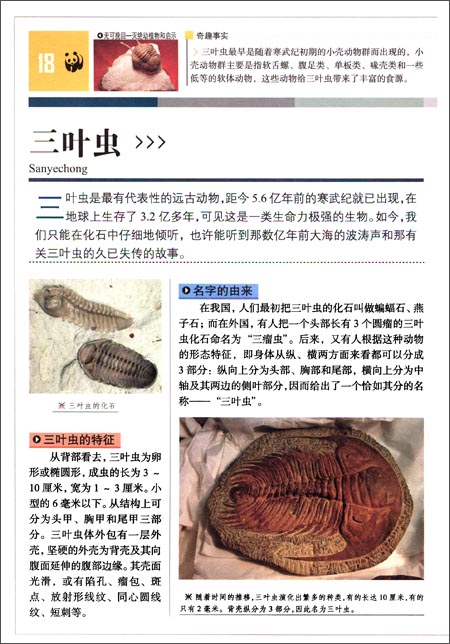 无可挽回:灭绝动植物和启示\/畲田