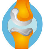 圣元美泰双键骨胶原蛋白片120片