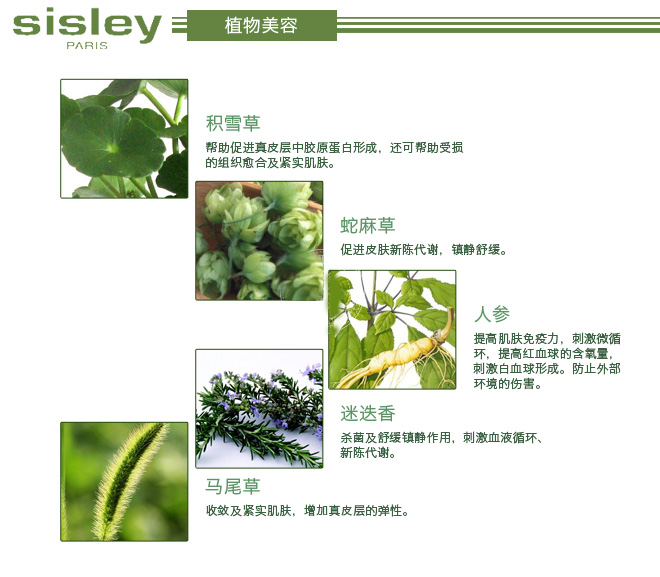 SISLEY希思黎全能乳液125ml(进)(特卖)-Sisley