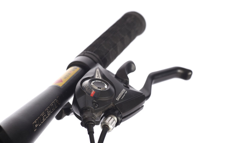 FLYING PIGEON 飞鸽 骑士系列 21速山地车 c3