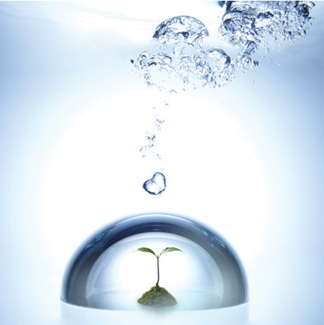 Haier 海尔JSQ24-E1(12T) 12升燃气热水器(蓝