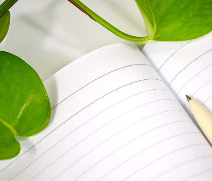 Gambol 渡边 G6507 无线装订本 6# 50页 12本