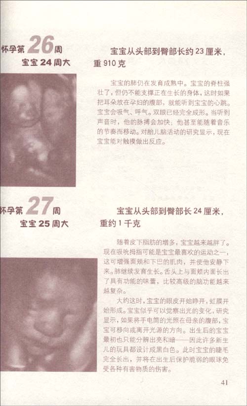 怀孕圣经(特惠版)\/安妮(Anne Deans)