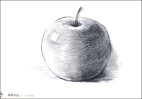 儿童画树素描内容图片展示