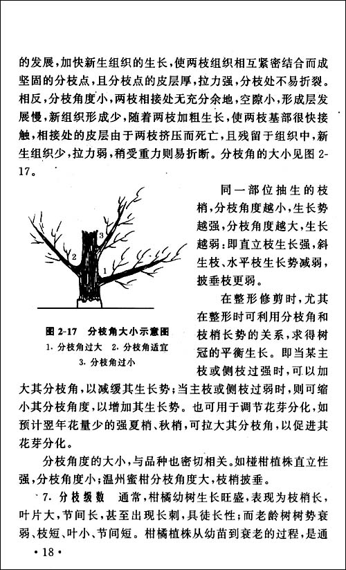 柑橘整形修剪图解\/沈兆敏