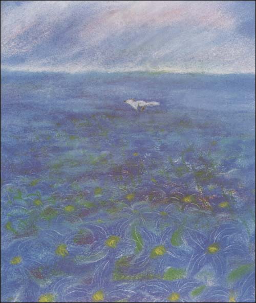 狐狸的窗户\/安房直子-图书-卓越亚马逊