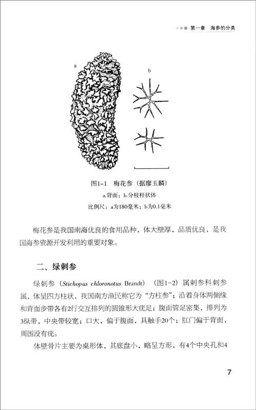 海参健康养殖技术(第2版)\/于东祥