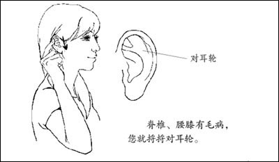 手到病自除2--圣手医师杨奕的家庭保健处方\/