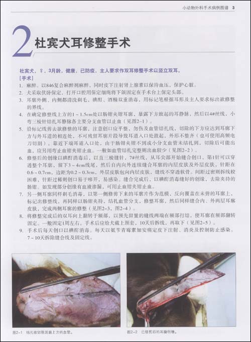 小动物外科手术病例图谱\/林立中