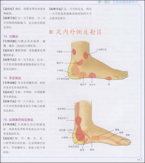 足部按摩图典\/薛永阁