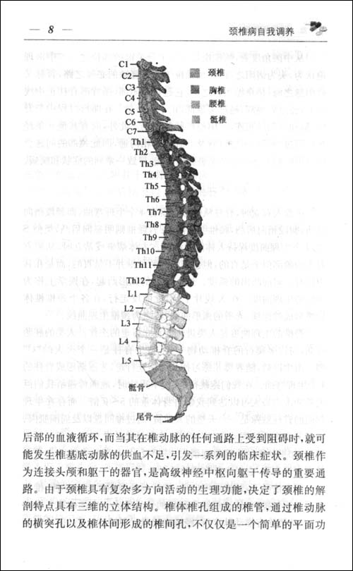 颈椎病自我调养\/肖京