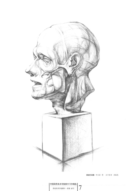 鲁迅美术学院附中素描速写\/鲁迅美术学院附中